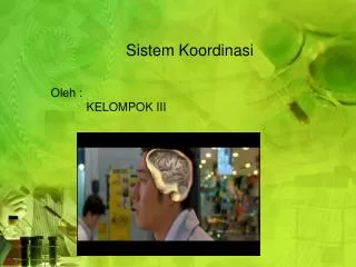sistem koordinasi