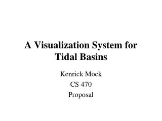 A Visualization System for Tidal Basins