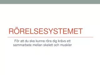 r relsesystemet