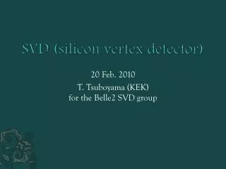 SVD (silicon vertex detector)