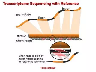 Transcriptome Sequencing with Reference
