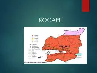 kocael