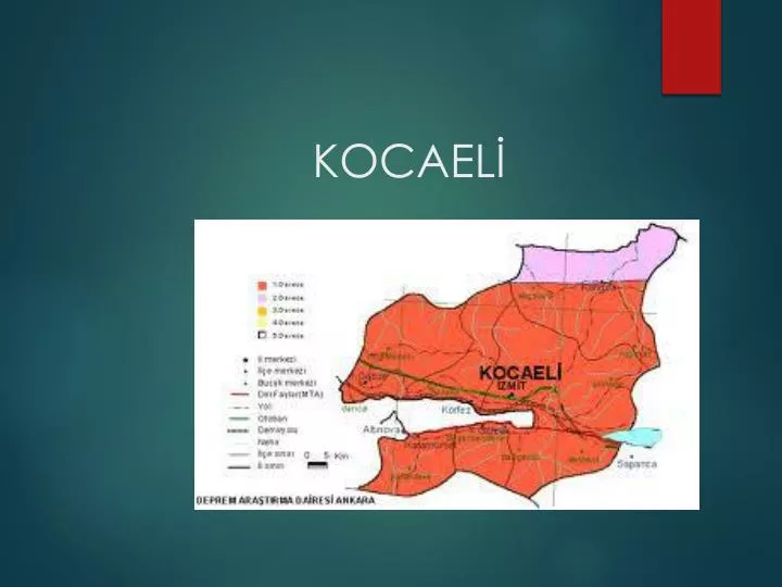 kocael
