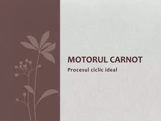 motorul carnot