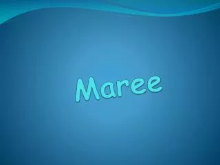 maree