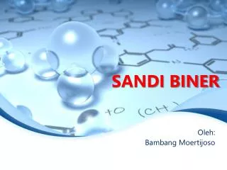 sandi biner