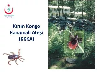 k r m kongo kanamal ate i kkka