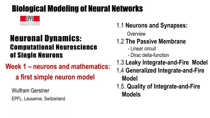 neuronal dynamics computational neuroscience of single neurons