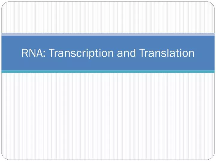 rna transcription and translation