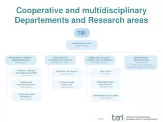 cooperative and multidisciplinary departements and research areas