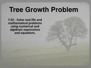 Tree Growth Problem