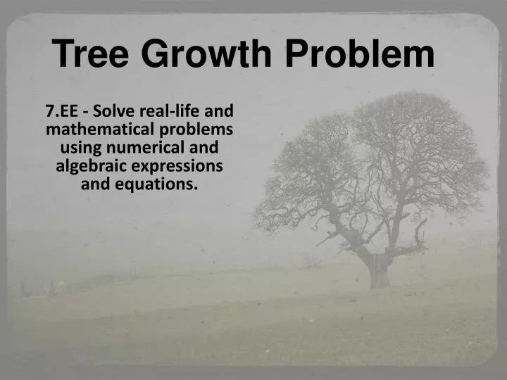 tree growth problem