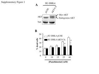 Supplementary Figure 1