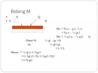 bidang m