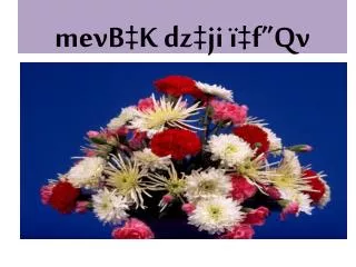 mevb k dz ji f qv