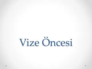 vize ncesi