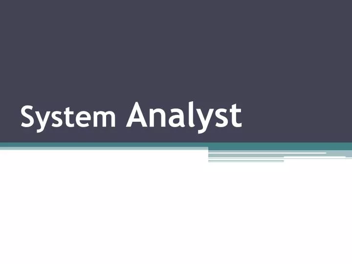 system analyst