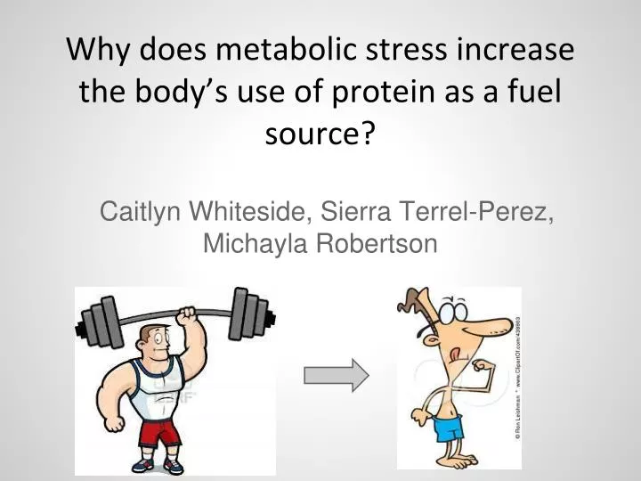 why does metabolic stress increase the body s use of protein as a fuel source