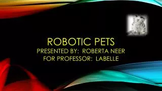 Robotic pets