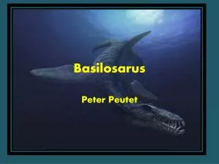 Basilosarus