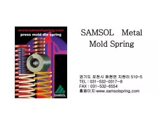 SAMSOL Metal Mold Spring