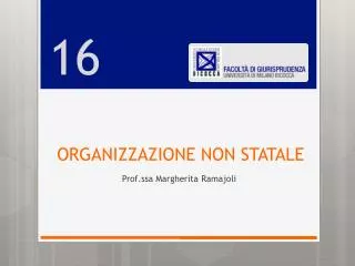 organizzazione non statale