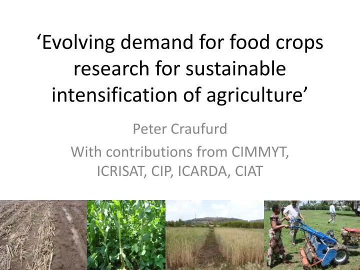evolving demand for food crops research for sustainable intensification of agriculture