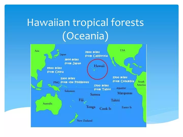 hawaiian tropical forests oceania