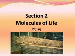 section 2 molecules of life