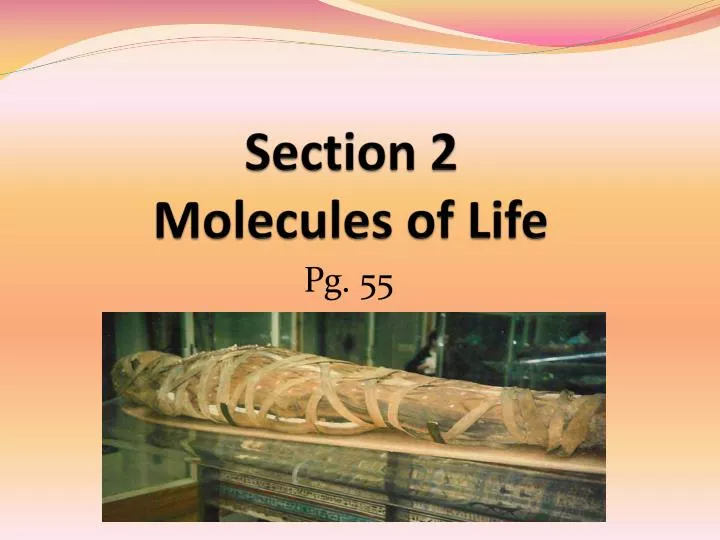 section 2 molecules of life