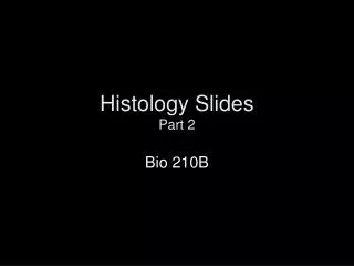 Histology Slides Part 2