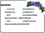 กลอนบทละคร - slide 1