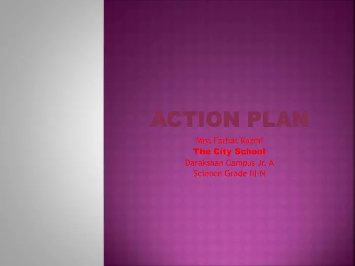 action plan