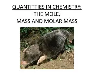 QUANTITTIES IN CHEMISTRY: THE MOLE, MASS AND MOLAR MASS