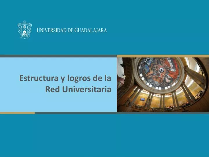 estructura y logros de la red universitaria