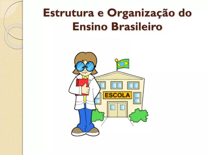 estrutura e organiza o do ensino brasileiro