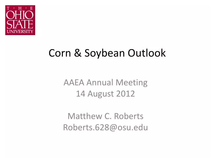 corn soybean outlook