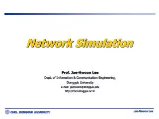 network simulation