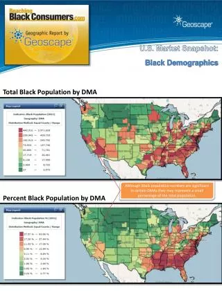 Total Black Population by DMA