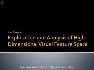 Exploration and Analysis of High-Dimensional Visual Feature Space