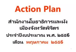 action plan