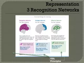 Multiple Means of Representation 3 Recognition Networks