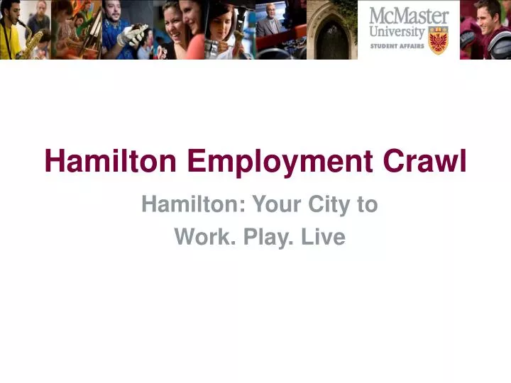 hamilton employment crawl