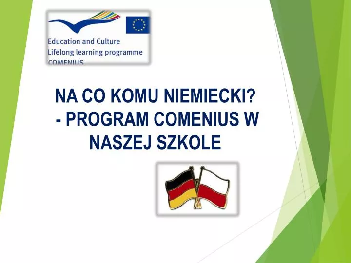 na co komu niemiecki program comenius w naszej szkole