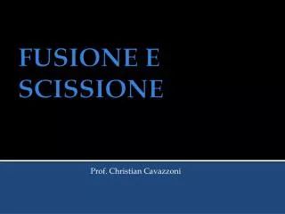 prof christian cavazzoni