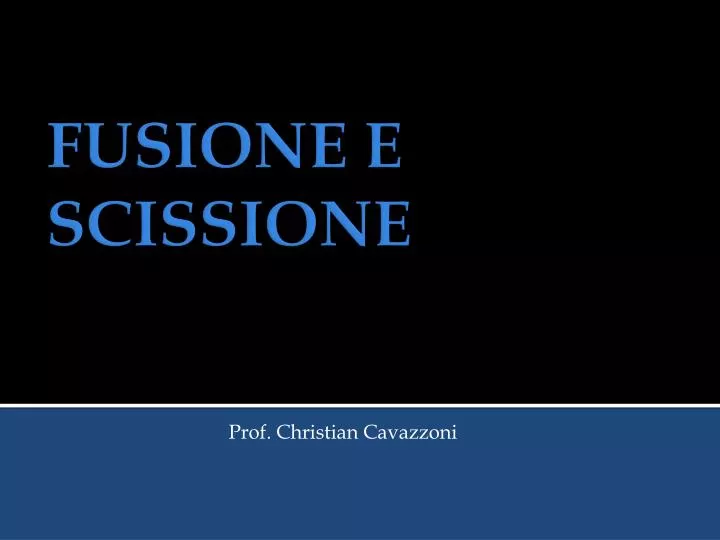 prof christian cavazzoni