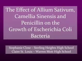 The Effect of Allium Sativum, Camellia Sinensis and Penicillin on the