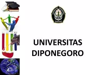 universitas diponegoro