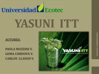 yasuni itt