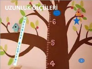 uzunluk l ler